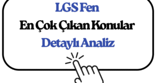 lgs fende en çok çıkan konular