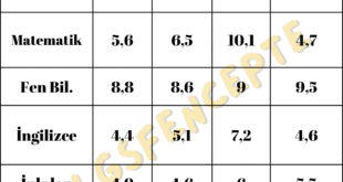 yıllara göre LGS derslerinin ders ders net ve doğru ortalamaları