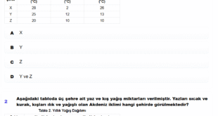 1. Ünite Mevsimler ve İklim Yaprak Test PDF + Çalışma Kağıtları