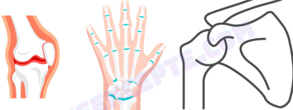 3. Ünite Canlıların Yapısına Yolculuk Konu Anlatımlı Ders Notu PDF İndir