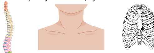 3. Ünite Canlıların Yapısına Yolculuk Konu Anlatımlı Ders Notu PDF İndir