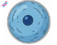 3. Ünite Canlıların Yapısına Yolculuk Konu Anlatımlı Ders Notu PDF İndir