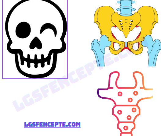 3. Ünite Canlıların Yapısına Yolculuk Konu Anlatımlı Ders Notu PDF İndir