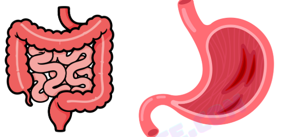 3. Ünite Canlıların Yapısına Yolculuk Konu Anlatımlı Ders Notu PDF İndir
